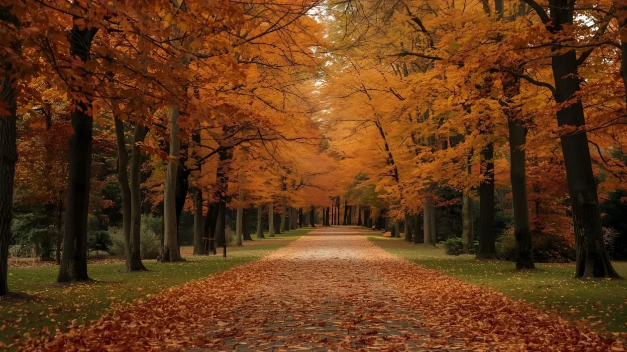 Autumn Symbolism