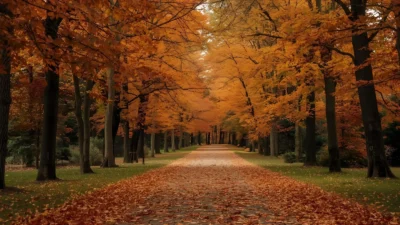 Autumn Symbolism