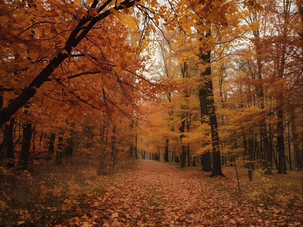 To Autumn Symbolism