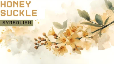 Honeysuckle Symbolism