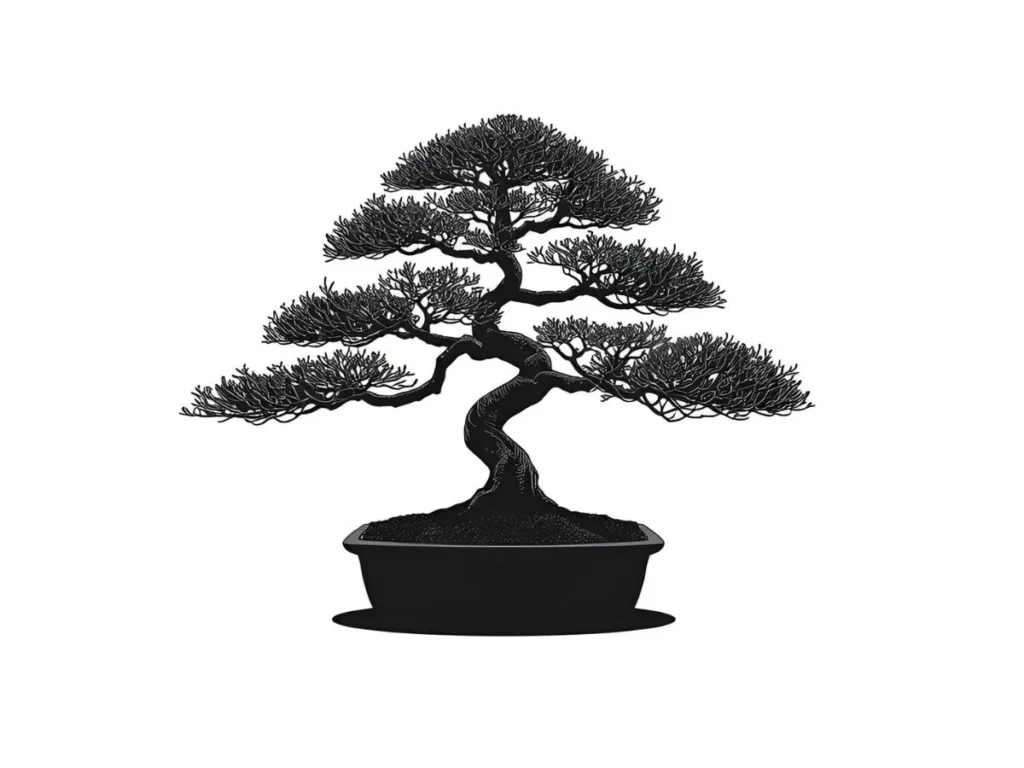 Japanese Bonsai Tree Symbolism