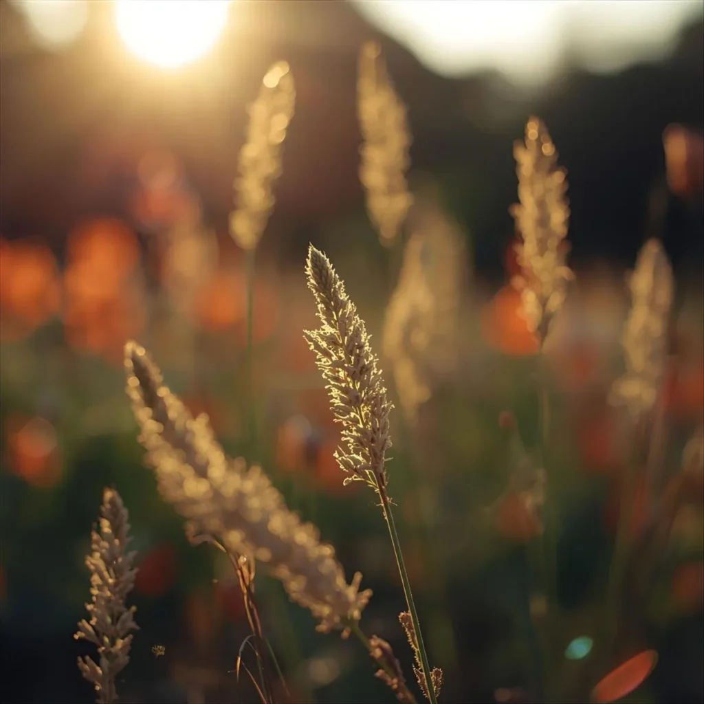 Summer Symbolism Negative