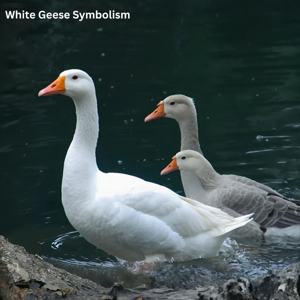White Geese Symbolism