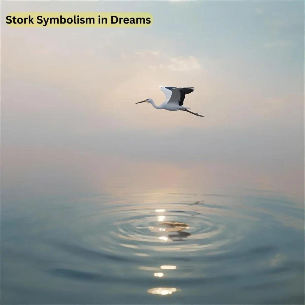 stork-symbolism-in-dreams